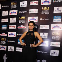 SIIMA 2016 Awards Function Photos | Picture 1347194