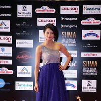 SIIMA 2016 Awards Function Photos | Picture 1347204