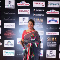 SIIMA 2016 Awards Function Photos | Picture 1347206
