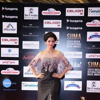 SIIMA 2016 Awards Function Photos | Picture 1347209