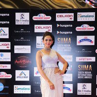 SIIMA 2016 Awards Function Photos | Picture 1347213