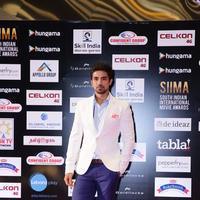 SIIMA 2016 Awards Function Photos | Picture 1347215