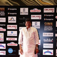 SIIMA 2016 Awards Function Photos | Picture 1347228