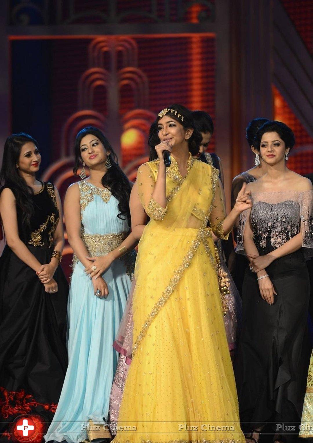SIIMA 2016 Awards Function Photos | Picture 1347276