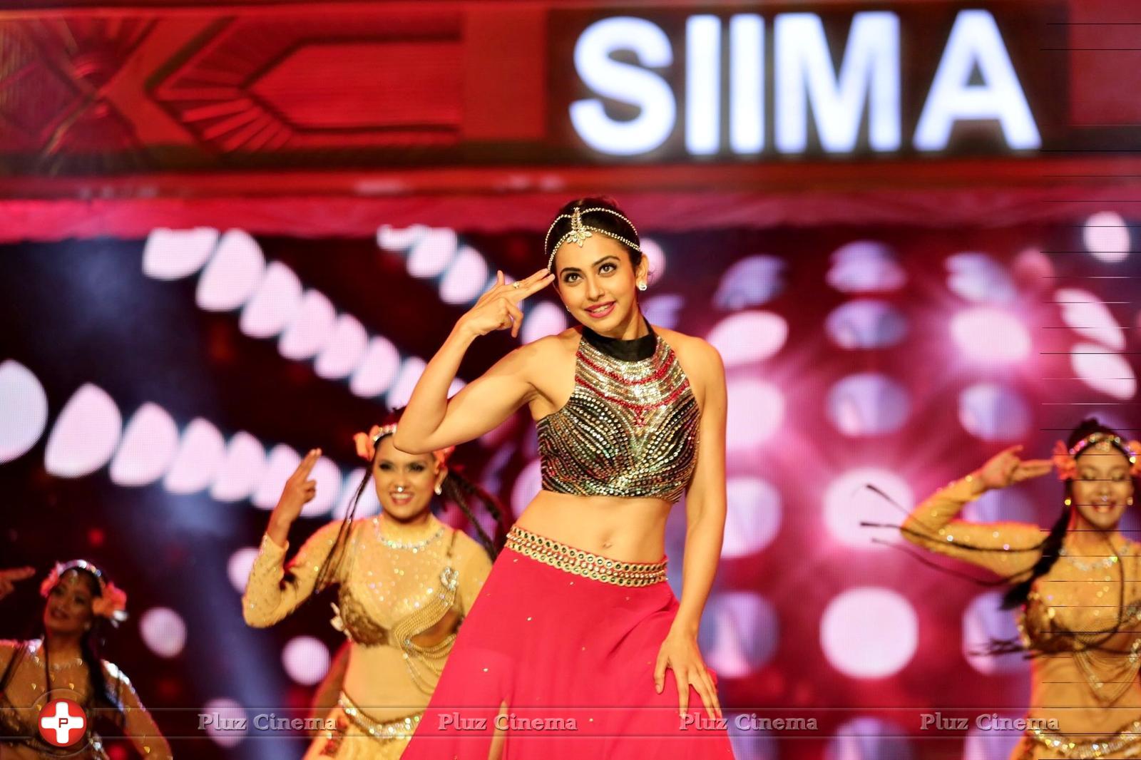 SIIMA 2016 Awards Function Photos | Picture 1347282