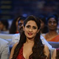 SIIMA 2016 Awards Function Photos | Picture 1347270