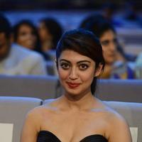 SIIMA 2016 Awards Function Photos | Picture 1347274
