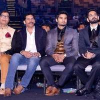 SIIMA 2016 Awards Function Photos | Picture 1347275