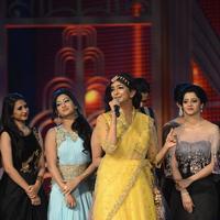 SIIMA 2016 Awards Function Photos | Picture 1347276