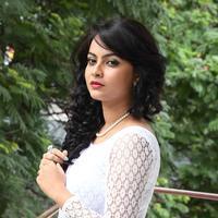 Athidhi New Stills | Picture 1348238