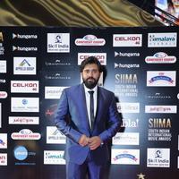 SIIMA 2016 Awards Photos | Picture 1347854