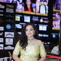 SIIMA 2016 Awards Photos | Picture 1347857