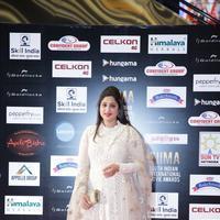 SIIMA 2016 Awards Photos | Picture 1347858