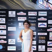 SIIMA 2016 Awards Photos | Picture 1347859