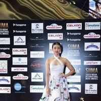 SIIMA 2016 Awards Photos | Picture 1347862