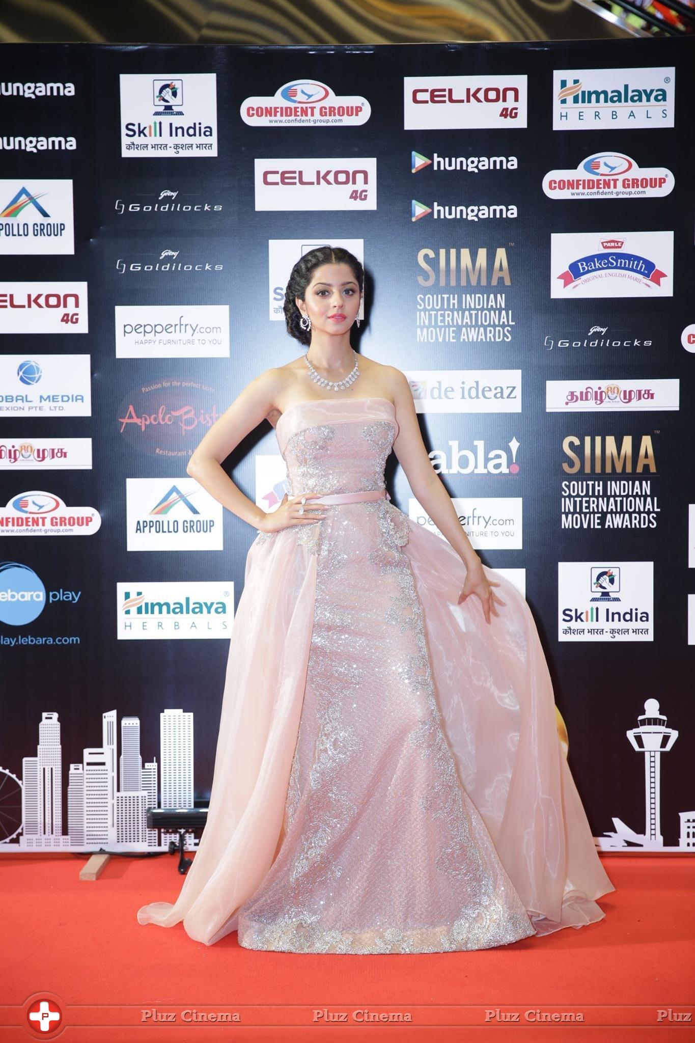 SIIMA 2016 Awards Photos | Picture 1348442