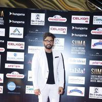 SIIMA 2016 Awards Photos