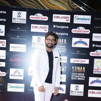 SIIMA 2016 Awards Photos | Picture 1348425