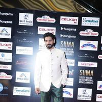 SIIMA 2016 Awards Photos | Picture 1348427