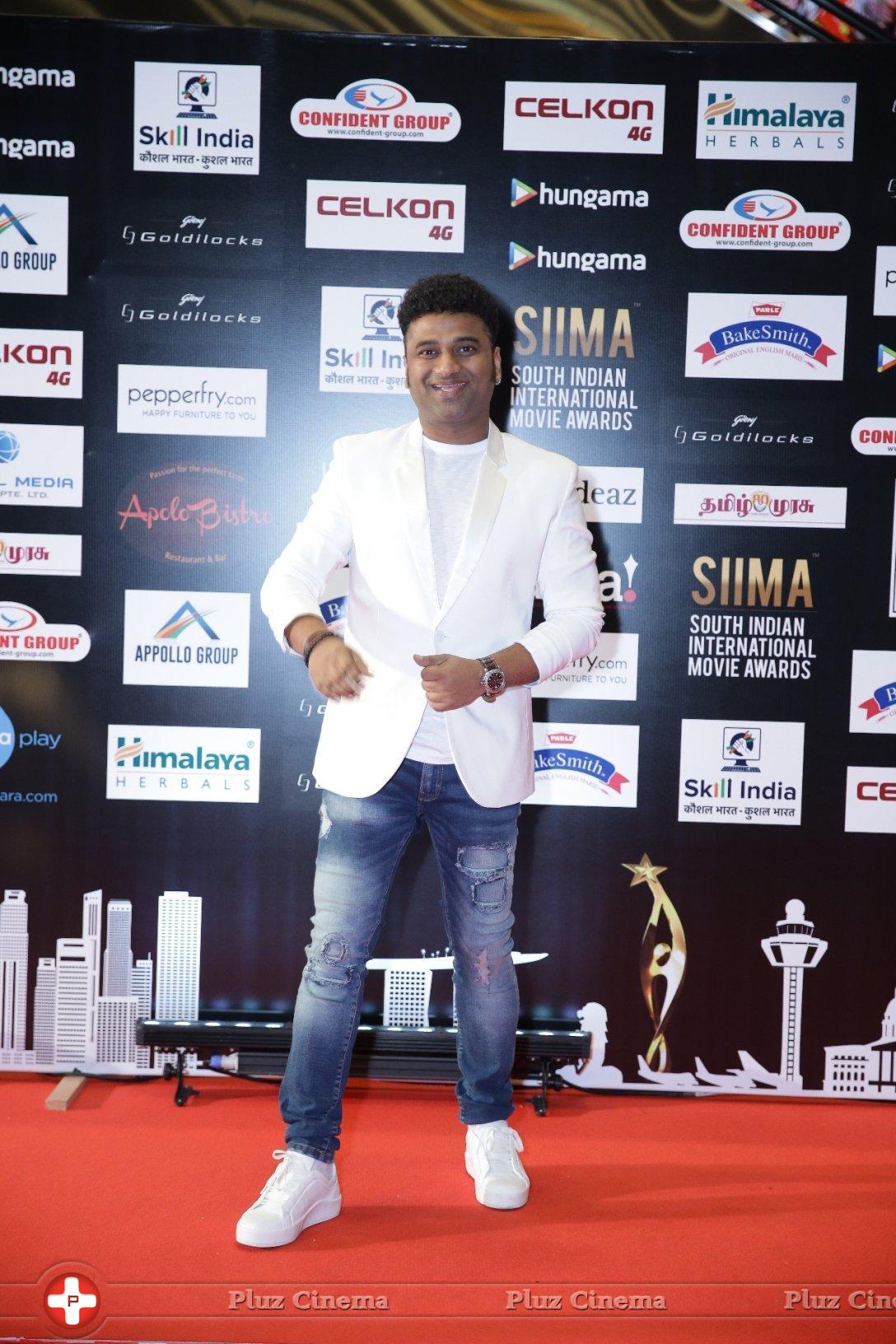 SIIMA Awards 2016 Photos | Picture 1347821