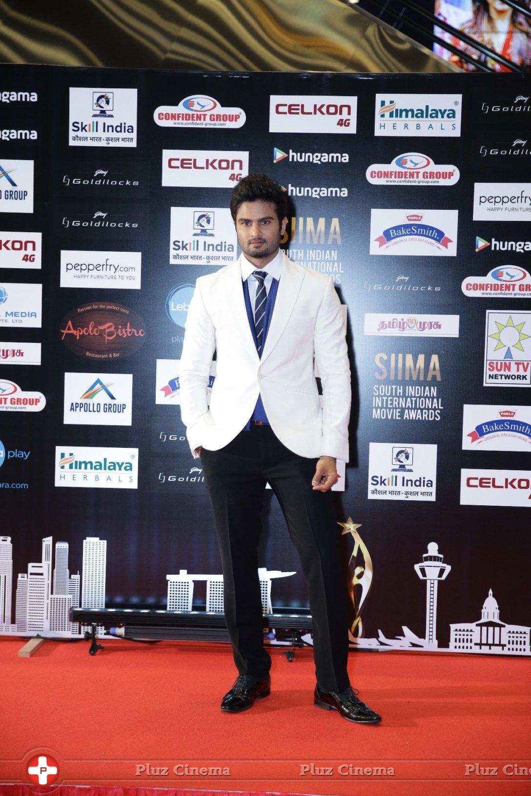 SIIMA Awards 2016 Photos | Picture 1347823