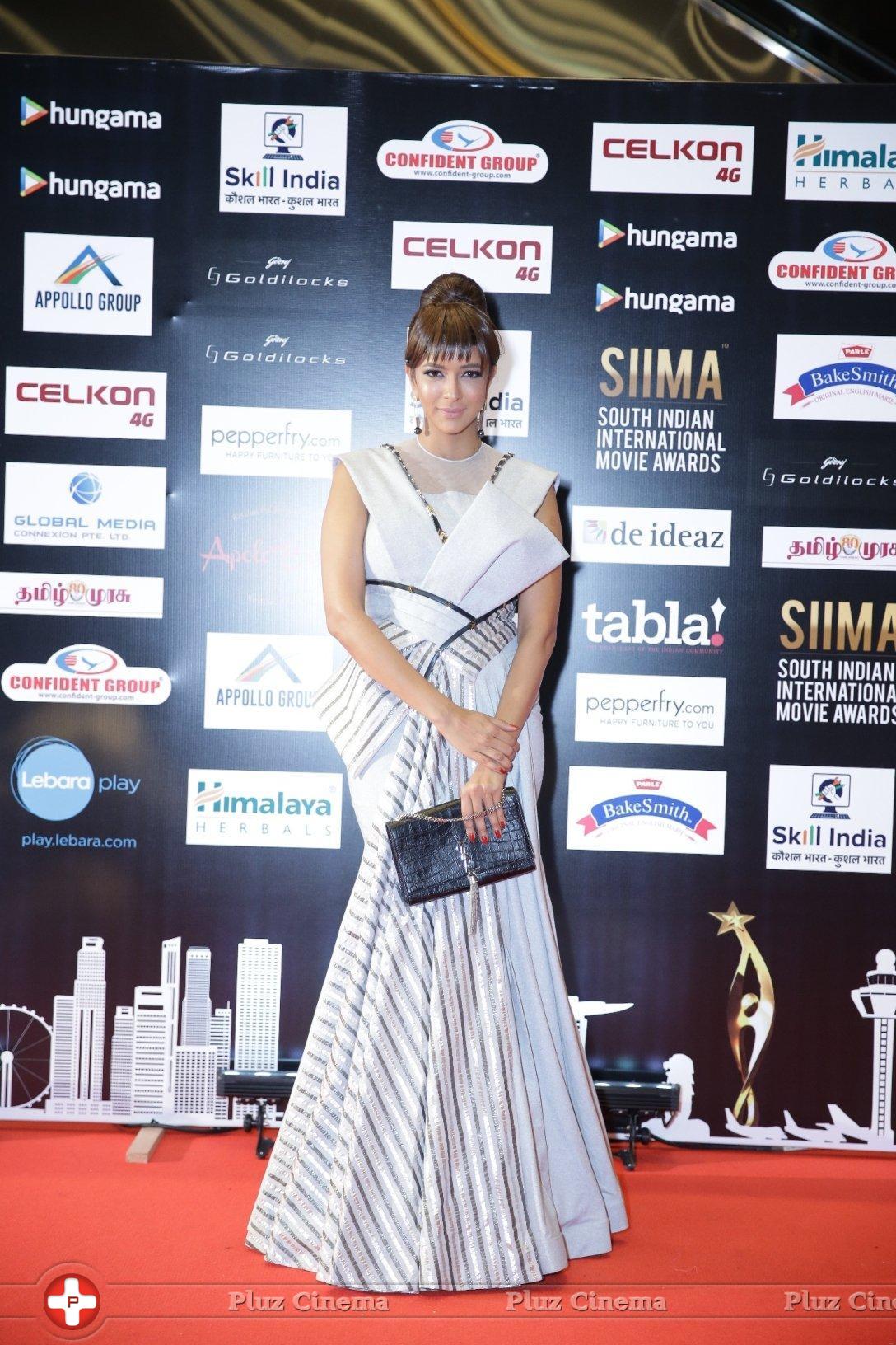 SIIMA Awards 2016 Photos | Picture 1347839