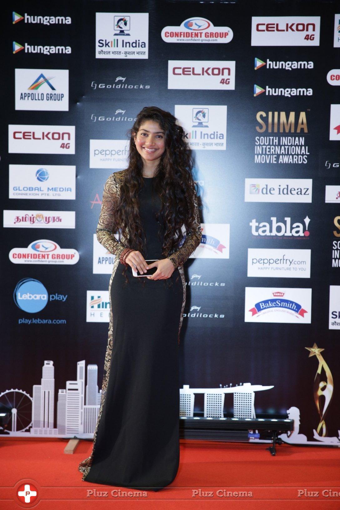 SIIMA Awards 2016 Photos | Picture 1347846