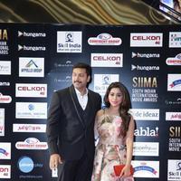 SIIMA Awards 2016 Photos | Picture 1347824