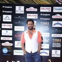 SIIMA Awards 2016 Photos | Picture 1347834
