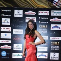 SIIMA Awards 2016 Photos | Picture 1347845