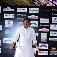 SIIMA Awards 2016 Photos | Picture 1347847