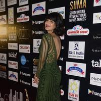 Shruthi Haasan at SIIMA | Picture 1347588