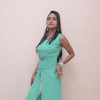 Pooja Sri New Gallery | Picture 1350069