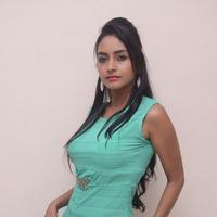 Pooja Sri New Gallery | Picture 1350135