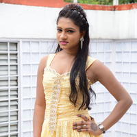 Bannisha New Stills