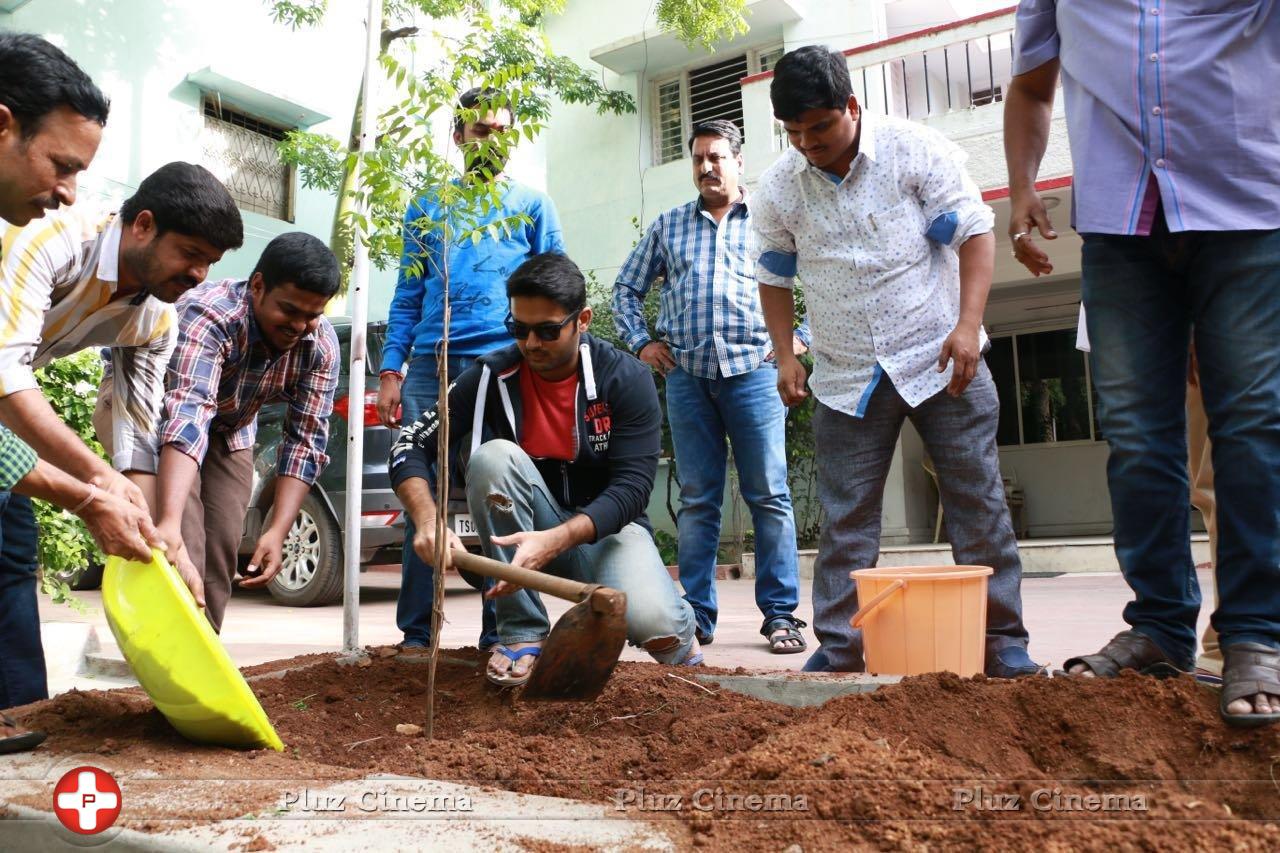 Nithin at Haritha Haram Photos | Picture 1358512