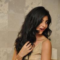 Kamna Singh New Gallery | Picture 1360958