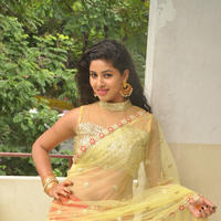 Pavani New Gallery | Picture 1361254
