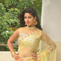 Pavani New Gallery | Picture 1361255