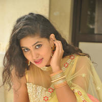 Pavani New Gallery | Picture 1361344