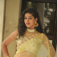 Pavani New Gallery | Picture 1361366