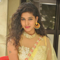 Pavani New Gallery | Picture 1361382
