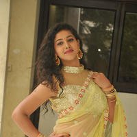 Pavani New Gallery | Picture 1361390
