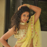 Pavani New Gallery | Picture 1361396