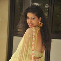Pavani New Gallery | Picture 1361400