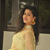Pavani New Gallery | Picture 1361402