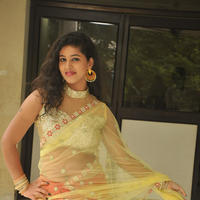 Pavani New Gallery | Picture 1361404