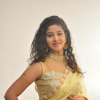 Pavani New Gallery | Picture 1361405