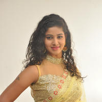 Pavani New Gallery | Picture 1361409