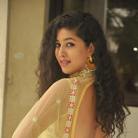 Pavani New Gallery | Picture 1361411